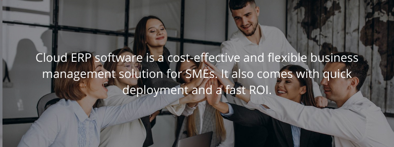 cloud erp software for small and medium businesses cloud erp for smes in uae